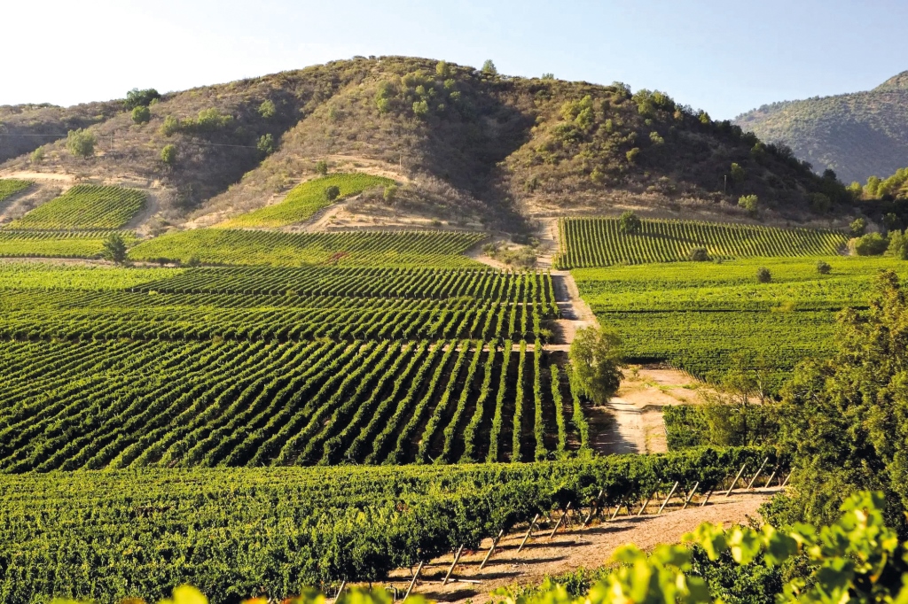 Агросектор Мексики: від спадщини ацтеків до сучасних технологій