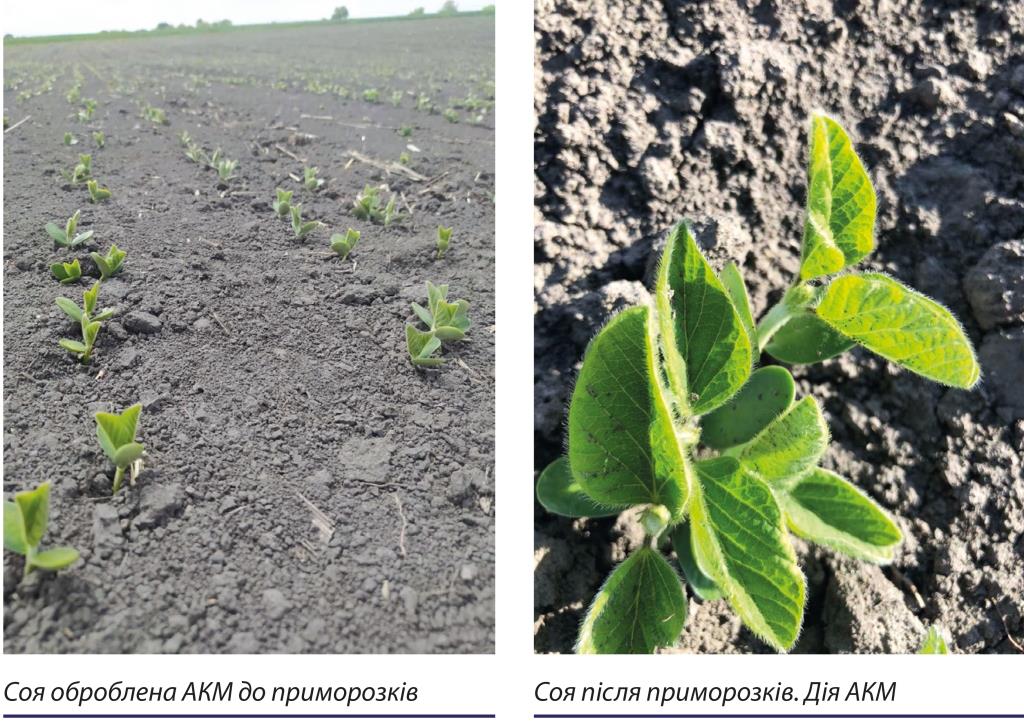РРР «АКМ» – це невід’ємна складова майбутнього врожаю за аномальних кліматичних умов