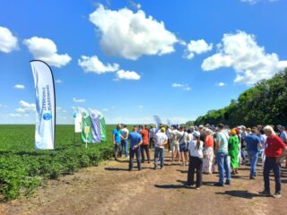 Аграрні інновації на Всеукраїнському Дні Поля 2024: нові технології для високих врожаїв