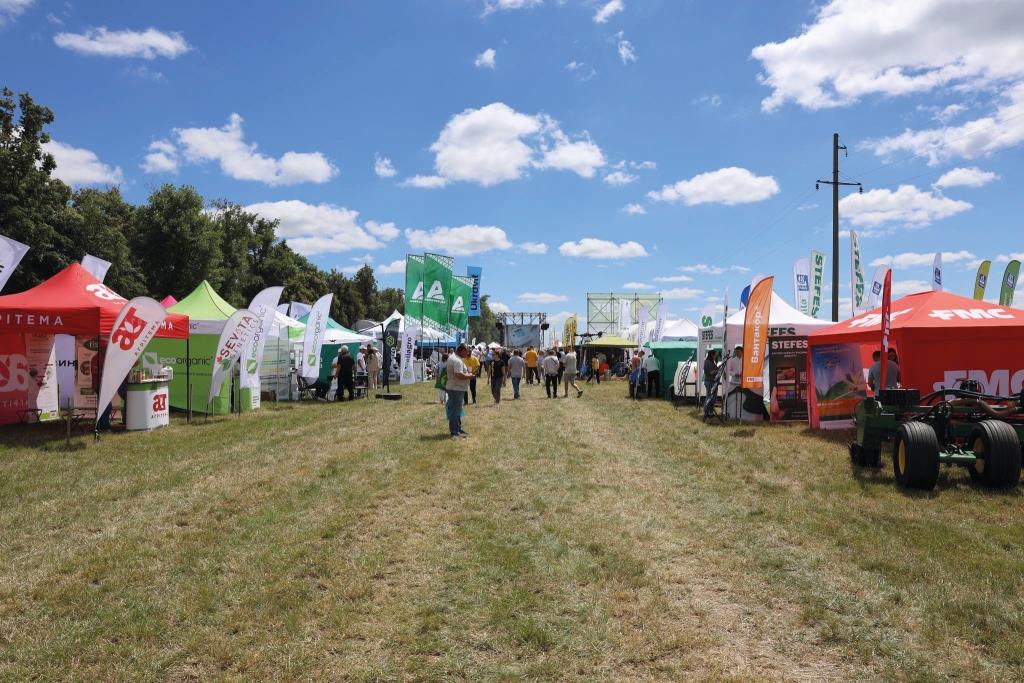 Нове зернятко 2024: 25 років інновацій, знань та досвіду