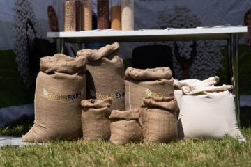 Аграрні інновації на Всеукраїнському Дні Поля 2024: нові технології для високих врожаїв