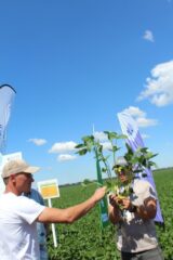Всеукраїнський День Поля аграрних інновацій 2024 Всеукраїнський День Поля аграрних інновацій 2024