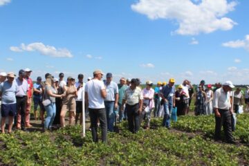 Всеукраїнський День Поля аграрних інновацій 2024