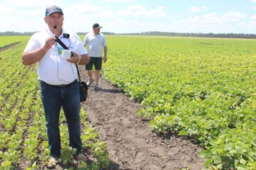 Всеукраїнський День Поля аграрних інновацій 2024