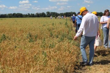 Всеукраїнський День Поля аграрних інновацій 2024