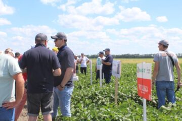 Всеукраїнський День Поля аграрних інновацій 2024