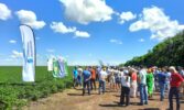Аграрні інновації на Всеукраїнському Дні Поля 2024: нові технології для високих врожаїв