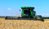 На Черкащині стартували жнива: обмолотили понад 560 га ячменю, очікують до 4 млн тонн