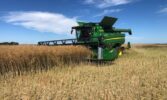Компанія ТАС Агро отримала рекордний урожай озимої пшениці