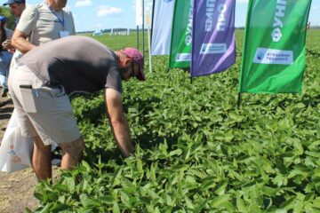 Всеукраїнський День Поля аграрних інновацій 2024