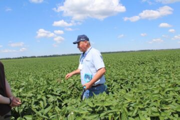 Всеукраїнський День Поля аграрних інновацій 2024