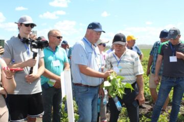 Всеукраїнський День Поля аграрних інновацій 2024