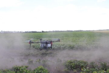 Всеукраїнський День Поля аграрних інновацій 2024