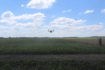 Всеукраїнський День Поля аграрних інновацій 2024