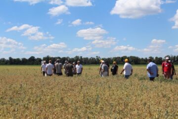 Всеукраїнський День Поля аграрних інновацій 2024