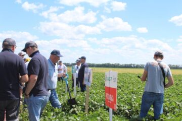 Всеукраїнський День Поля аграрних інновацій 2024