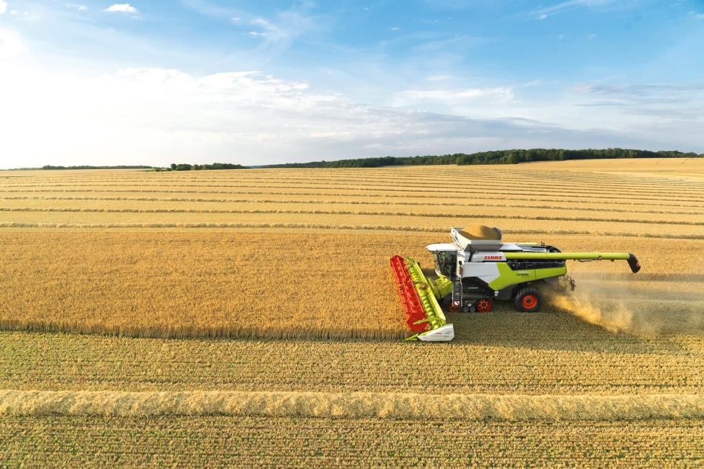 Жнива-2024: перші підсумки