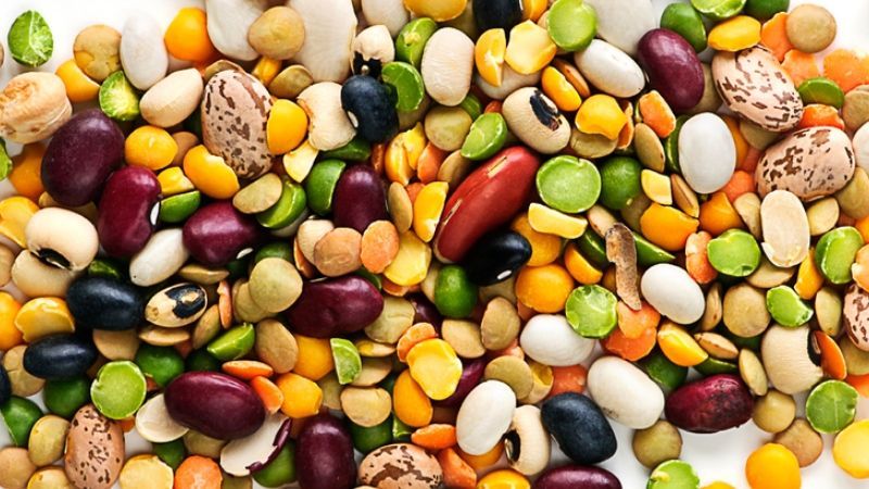 Популярність нішевих культур в Україні зростає: що найкраще сіяти