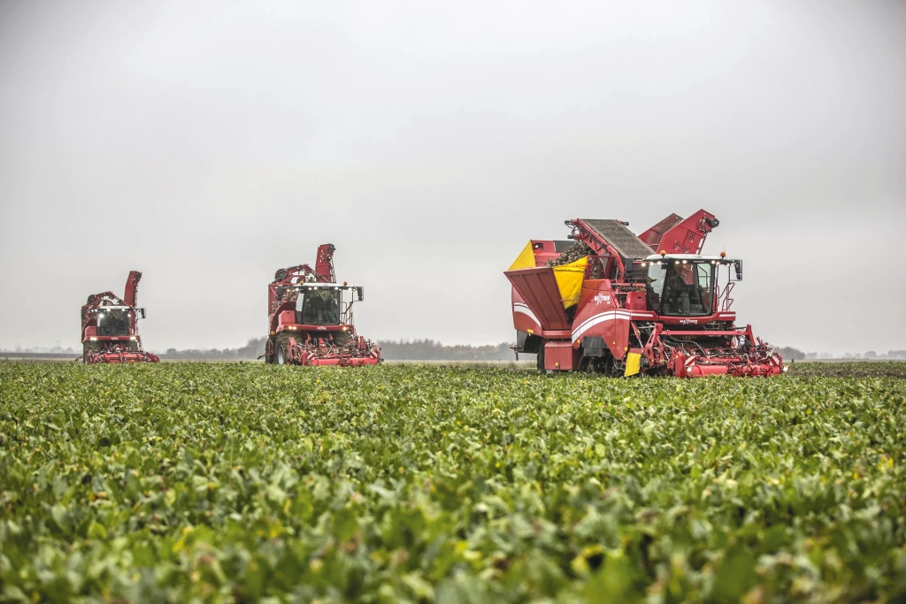 Агросектор Нідерландів: маленька країна з великими можливостями