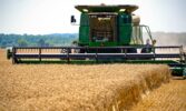 Астарта завершила збирання озимих зернових та бобових на площі понад 61 тис. га