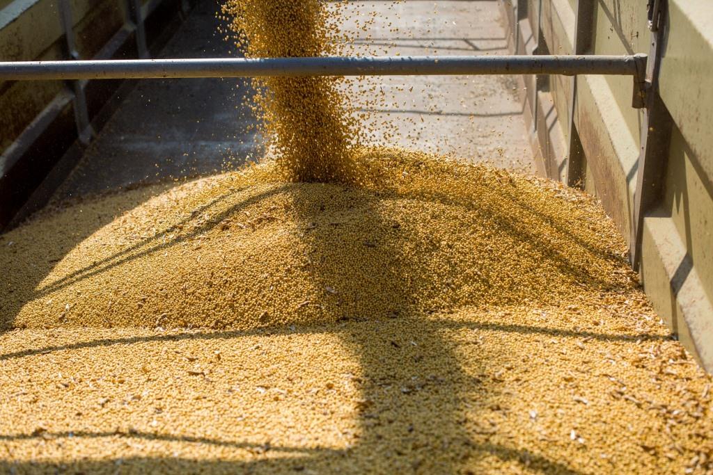 В «Астарті» розпочали збір сої