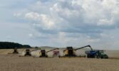 Контінентал успішно завершив першу хвилю жнив