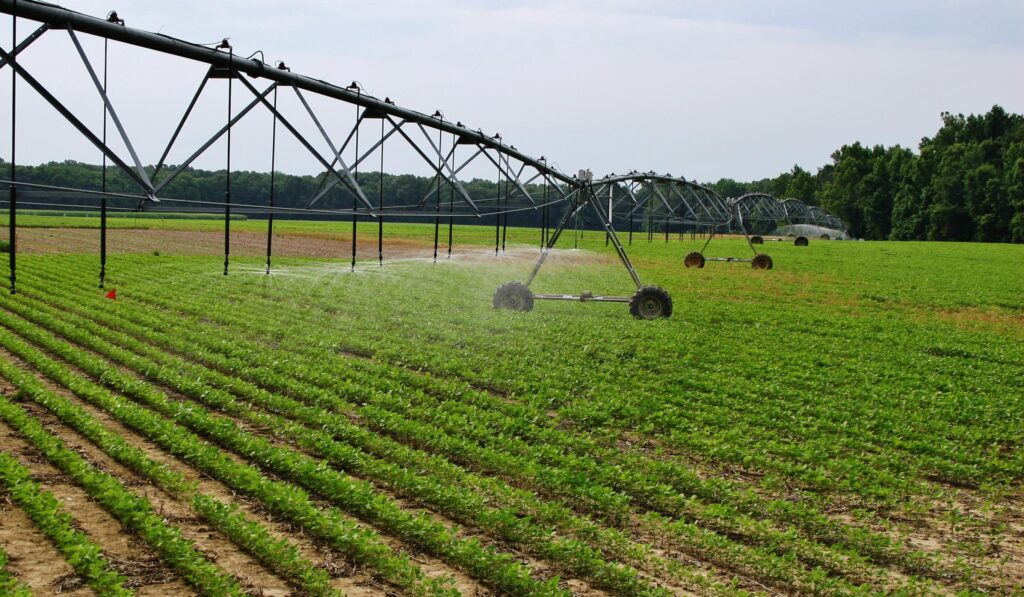 Київщина має великий потенціал для розвитку гідротехнічної меліорації