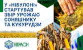У «НІБУЛОНІ» стартував збір урожаю соняшнику та кукурудзи
