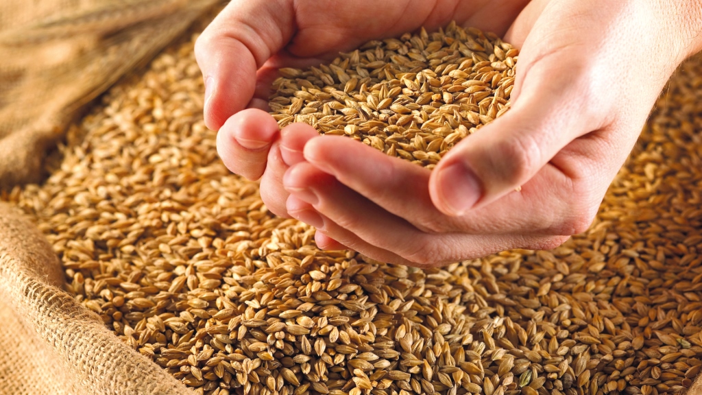 Дбайливо готуємось до посіву озимини!