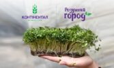 У Контінентал Фармерз Груп стартував новий сезон проєкту «Розумний город. Мікрозелень»