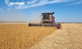 У Групі АГРОТРЕЙД тривають жнива сої