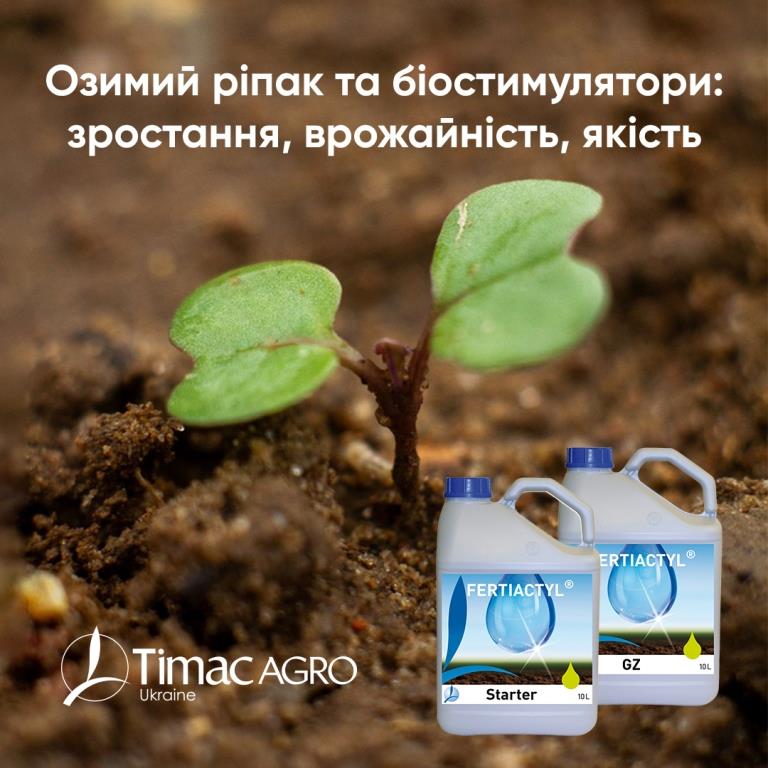 Як врятувати ріпак від посухи та спеки: ефективні рішення від Timac Agro