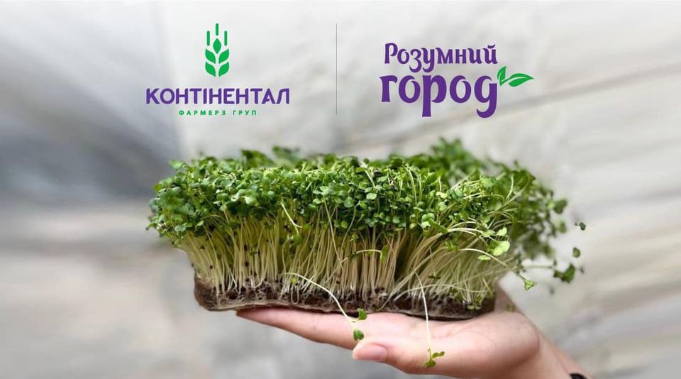 У Контінентал Фармерз Груп стартував новий сезон проєкту «Розумний город. Мікрозелень»