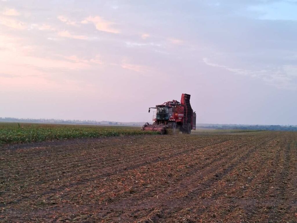 ТОВ "АГРО-ОРМС" розпочало збір цукрових буряків