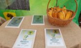 Підсумки ювілейного Західноукраїнського чемпіонату на кращий гібрид кукурудзи та цукрового буряку