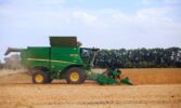 У всіх кластерах компанії ТАС Агро повністю завершили збирання олійних культур