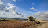 Контінентал Фармерз Груп збирає врожай сільськогосподарських культур пізньої групи