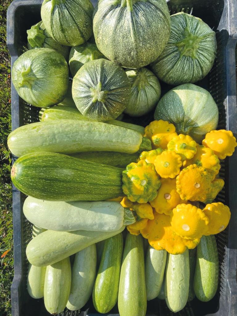 Органічна продукція для українських споживачів: як бренд з Київщини підкорює внутрішній ринок в умовах війни 