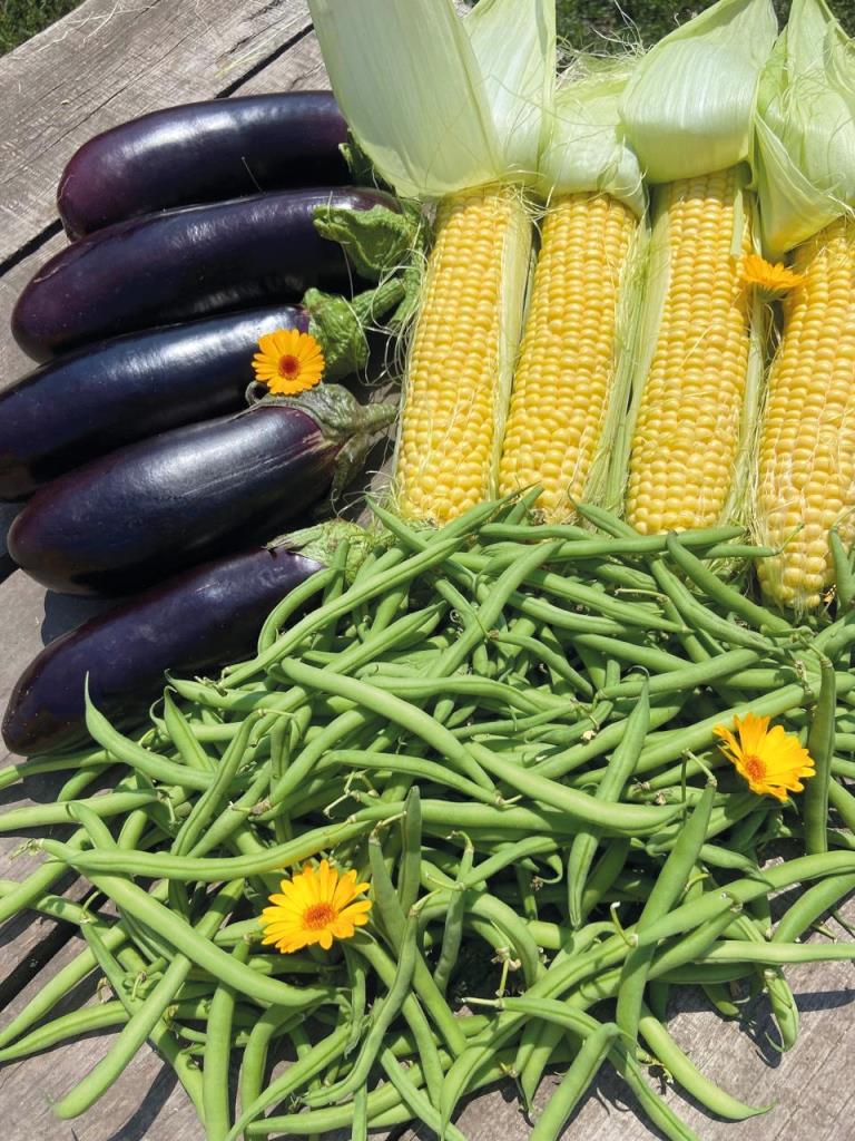 Органічна продукція для українських споживачів: як бренд з Київщини підкорює внутрішній ринок в умовах війни 