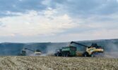 Контінентал розпочав обмолот кукурудзи