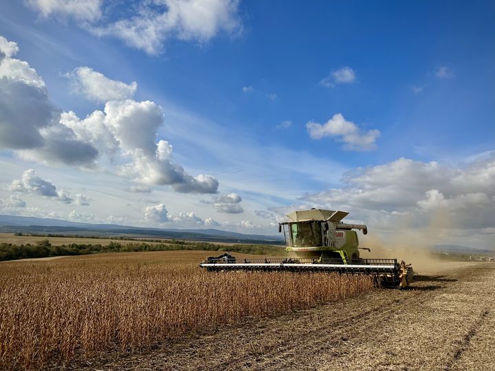 Контінентал Фармерз Груп збирає врожай сільськогосподарських культур пізньої групи