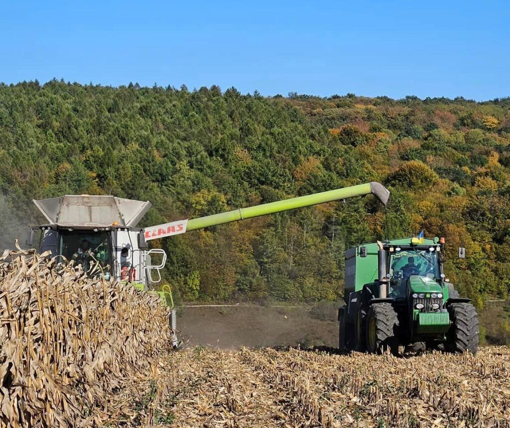 У Контінентал збирають кукурудзу