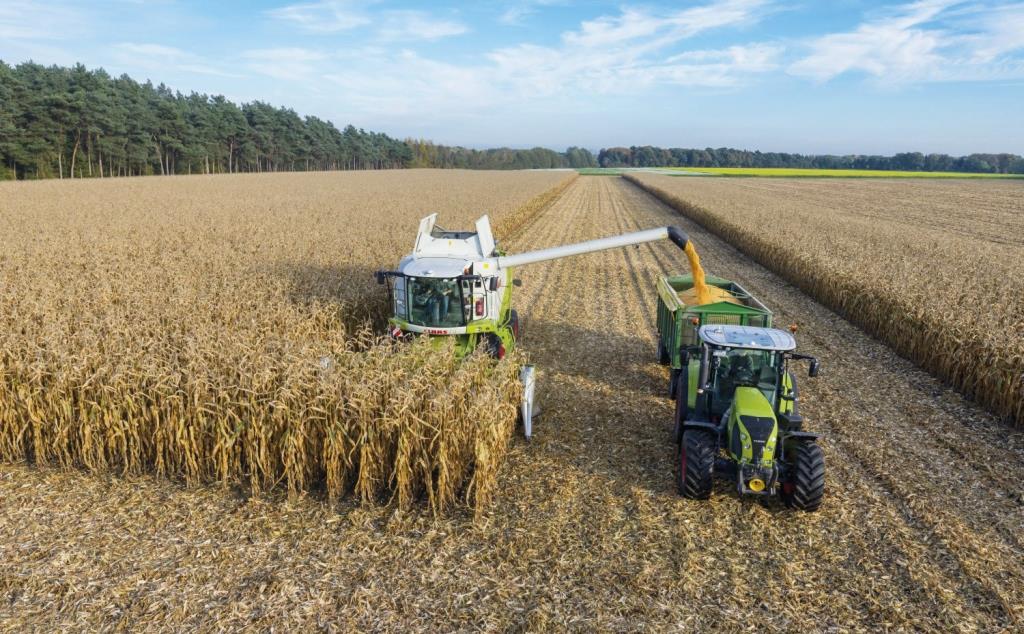 Динаміка цін на кукурудзу: аналіз та прогнози. Коментар експерта