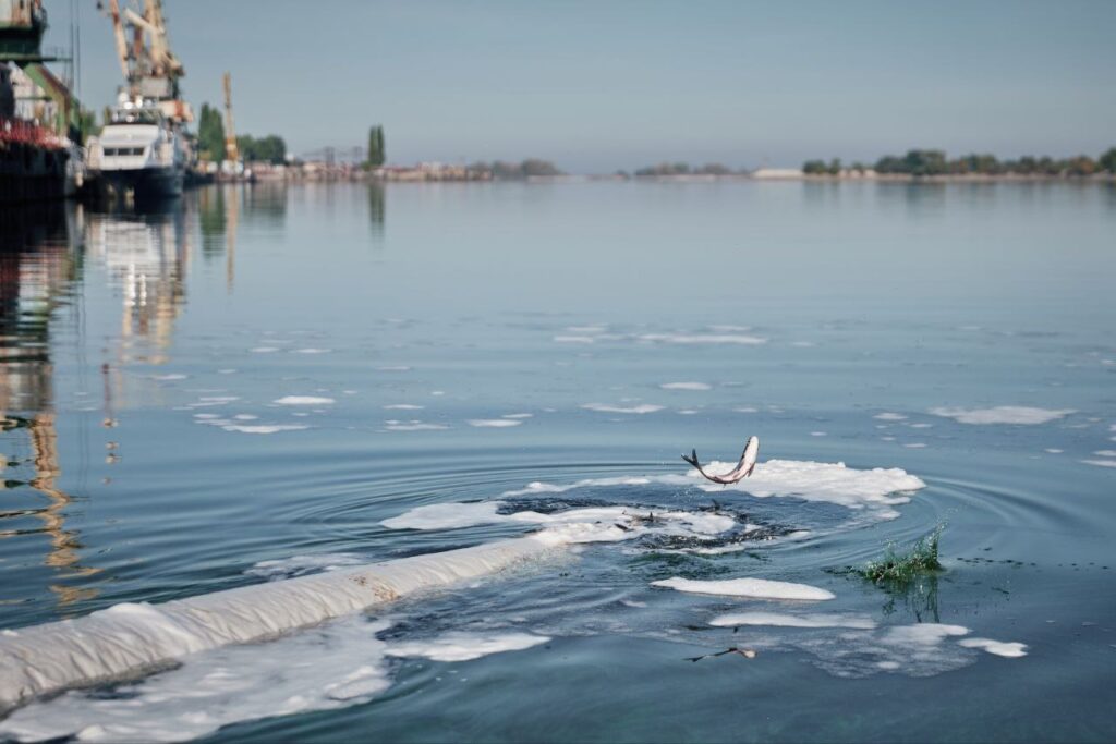 В Україні розпочалась кампанія зариблення водойм