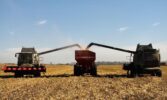У Контінентал Фармерз Груп добігають кінця жнива пізньої групи культур