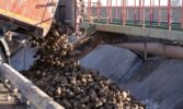 В «УПІ-АГРО» завершили збирання цукрових буряків