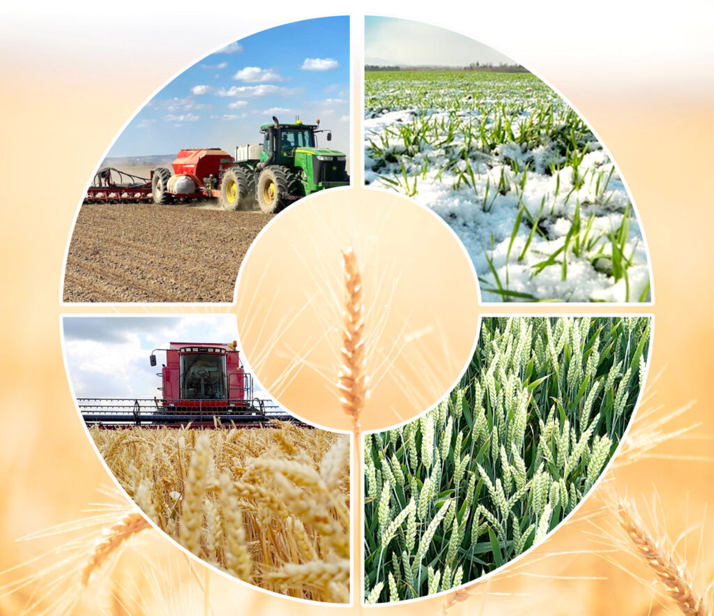 З Днем працівника сільського господарства!