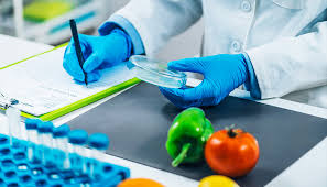 Уряд ухвалив рішення про цифровізацію послуг у сфері фітосанітарії