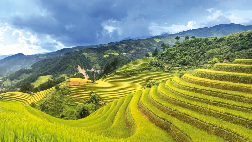 Агросектор Китаю: балансування між традиціями та інноваціями