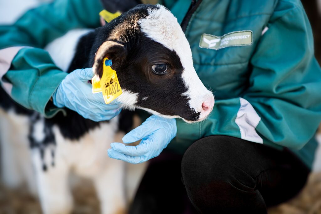 Ферми УПІ АГРО – найбільші в Європі із м’якою прив’язною системою утримання худоби та системою доїння Dell-Pro